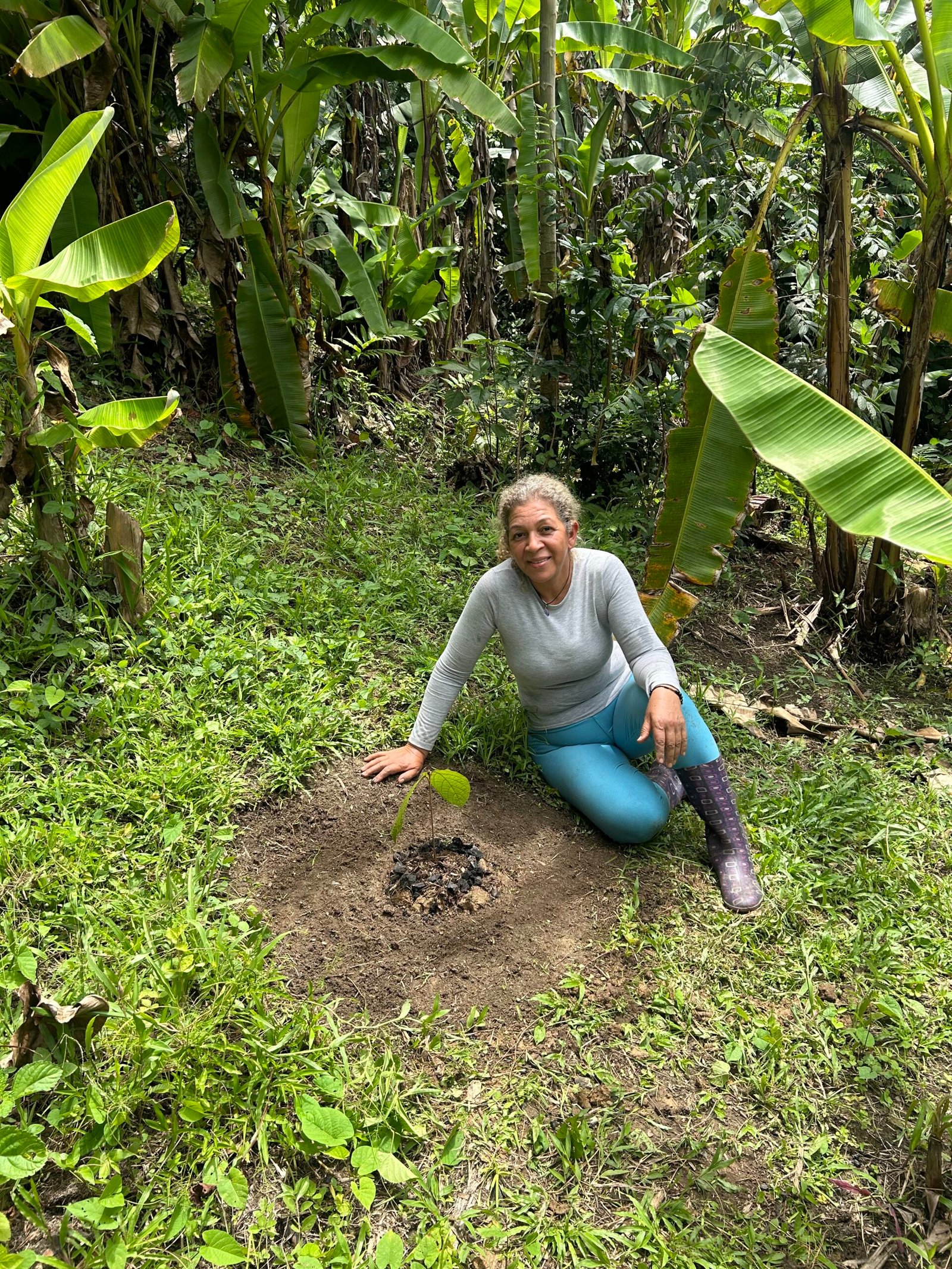 Siembra forestal Amazonas